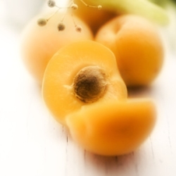 Abricot