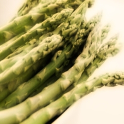 Asperge