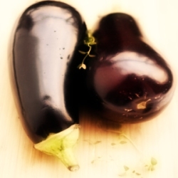 Aubergine