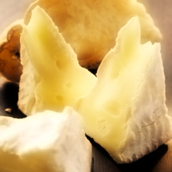 Camembert