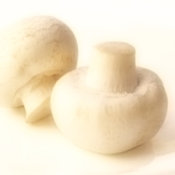 Champignon
