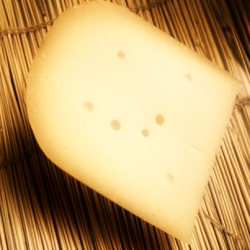 Gouda
