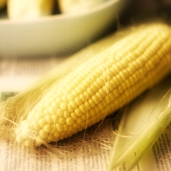 Maïs