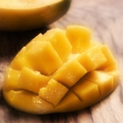 Mangue
