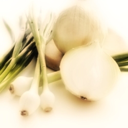 Oignon